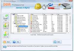 Windows Data Recovery Software Screenshot